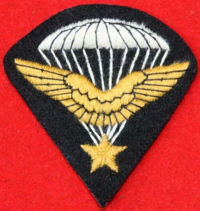 Paratrooper Wings Worn By The French Air Infantry And 1st Rcp - Fr 