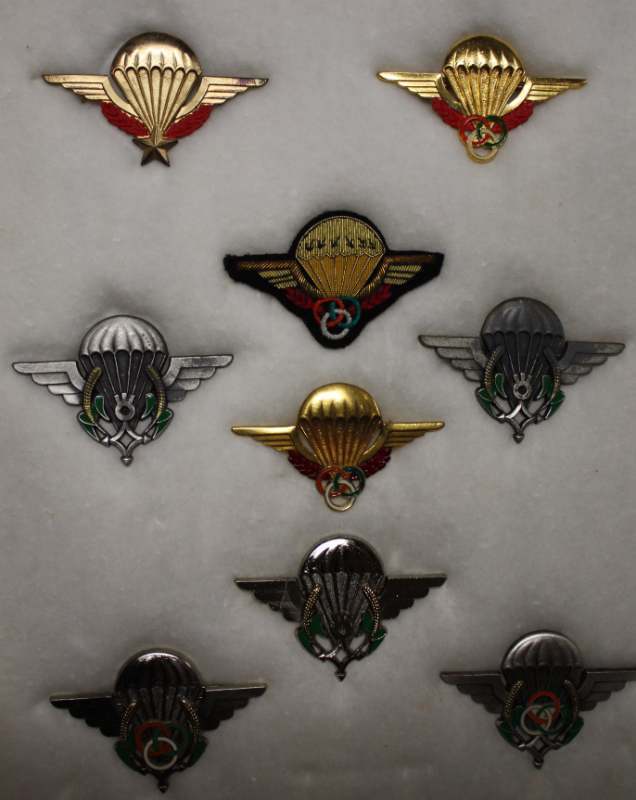 Parachute Badges of Niger - ALL AFRICAN NATIONS - World Militaria Forum